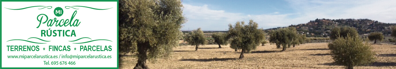 Fincas rusticas en venta